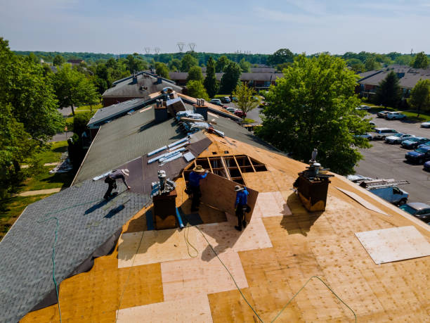 24/7 Emergency Metal Roofing experts in Homer, GA